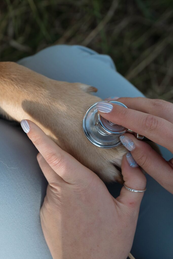 Reno Nevada CNA Graduation Senior Portraits with a dog. Reno Lake Tahoe senior photographer. 