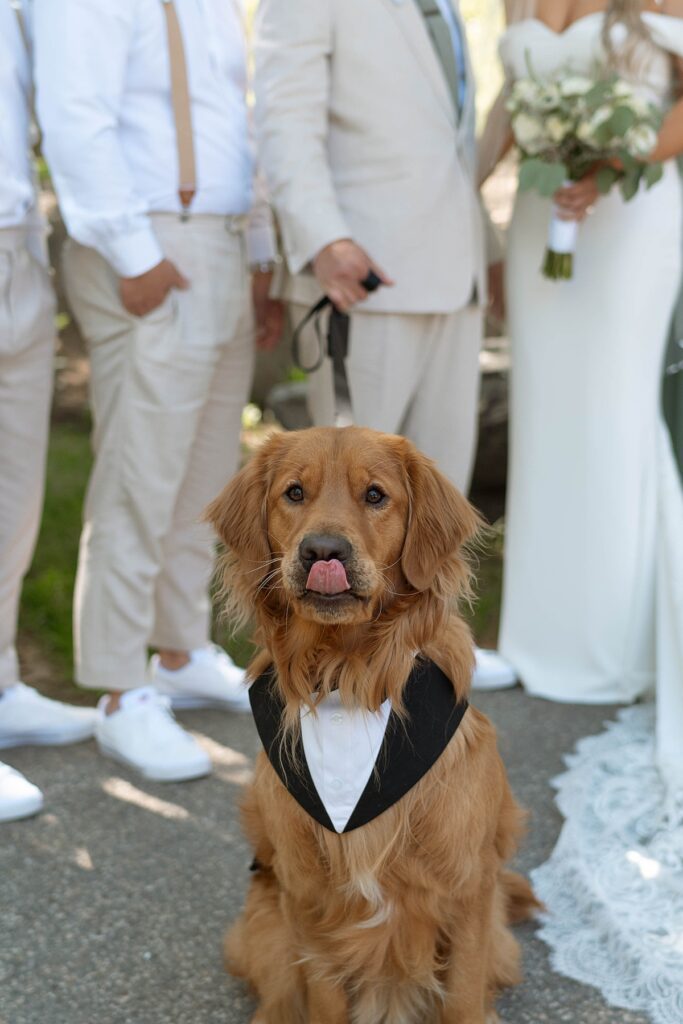 wedding party portrait with the bride and groom's dog. Plumpjack inn Truckee Palisades Lake Tahoe Wedding photographer videographer