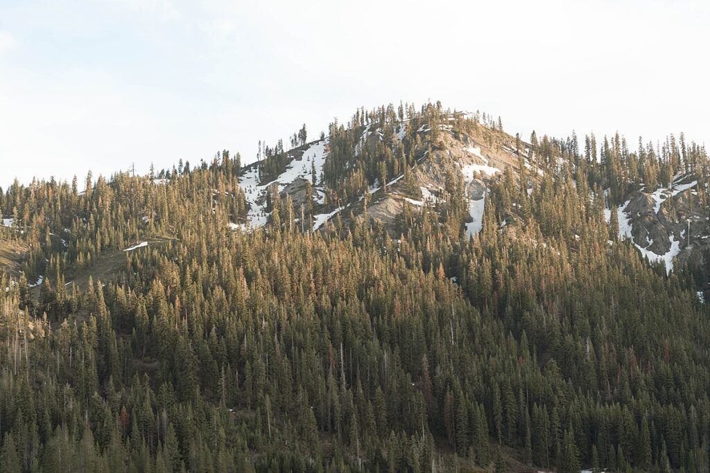  Plumpjack inn Truckee Palisades Lake Tahoe Wedding photographer videographer