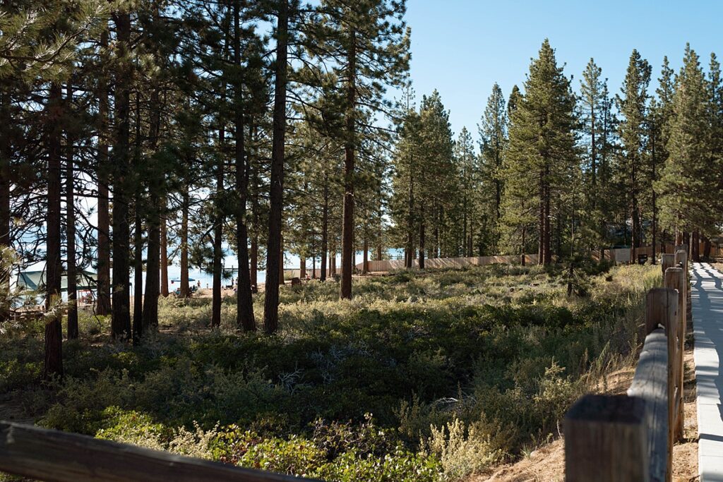 Roundhill Beach Lake Tahoe Elopement Photographer Videographer 4JOY Media