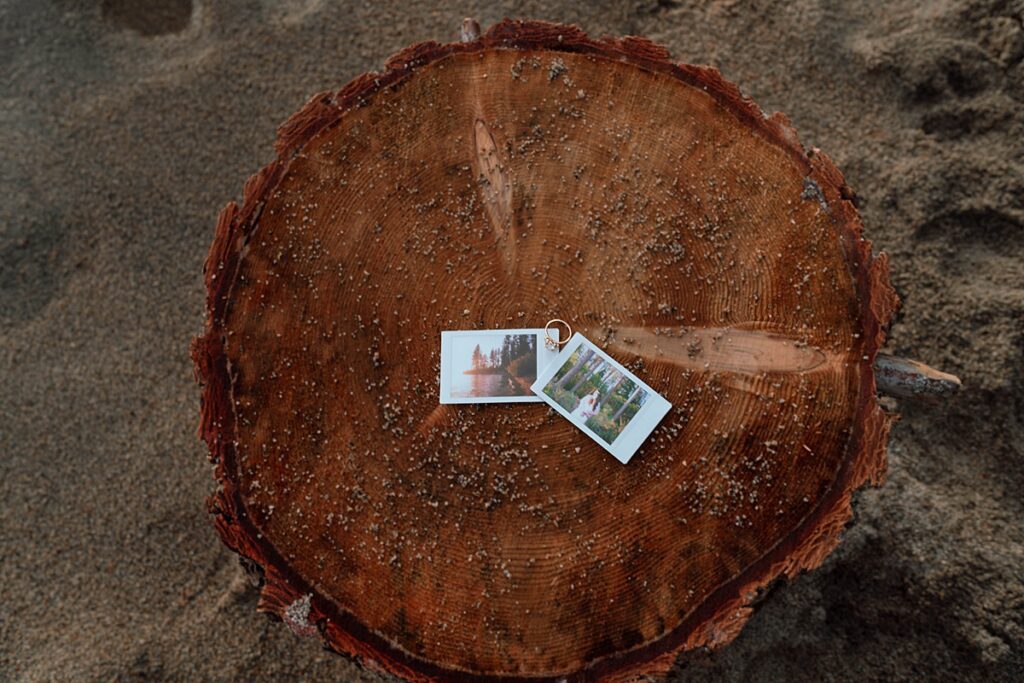 polaroids of engaged couple on a cut tree trunk on the beach in lake tahoe