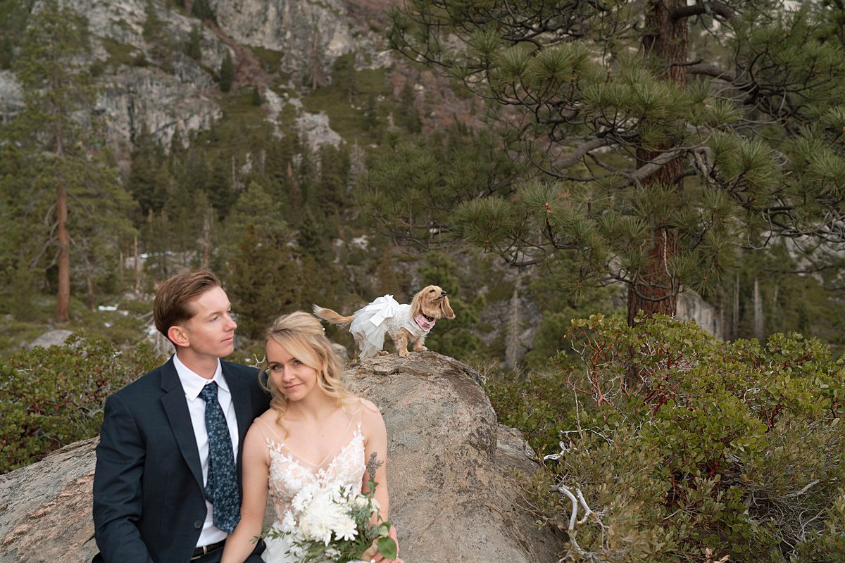 Couple's portrait with their dog at Emerald Bay after their ceremony captured by Lake Tahoe Wedding Photographer
